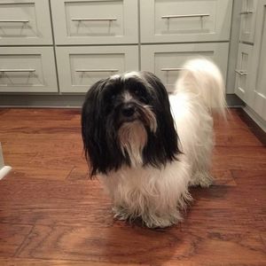 Meet your Posher, Kathy